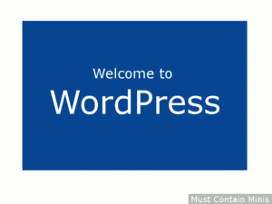 Read more about the article Welcome to WordPress